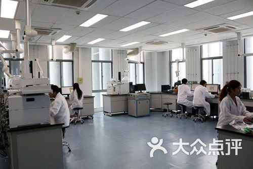 武漢市政科技信息研發中心生物科技培訓課程 價格、簡介與學習體驗全解析